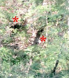 See all the eyes top left and strange man/creature in cave. 