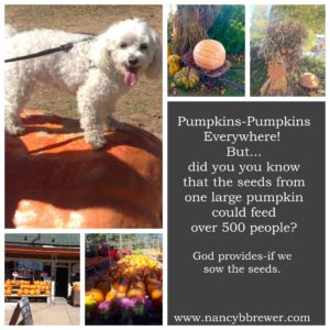 pumpkin-colage_fotor