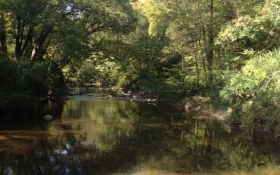 A visit to: Booger Hollar—Spooky Findings—See Photos