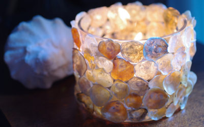 What created that pretty seashell?