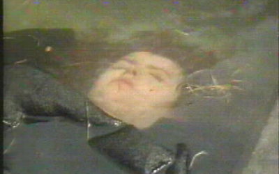 A quote from my new book “A Beautiful Prison”